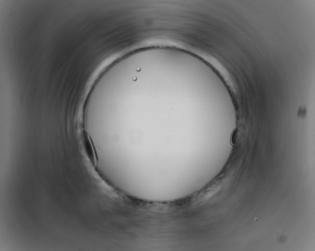 X0000100310815200807031145