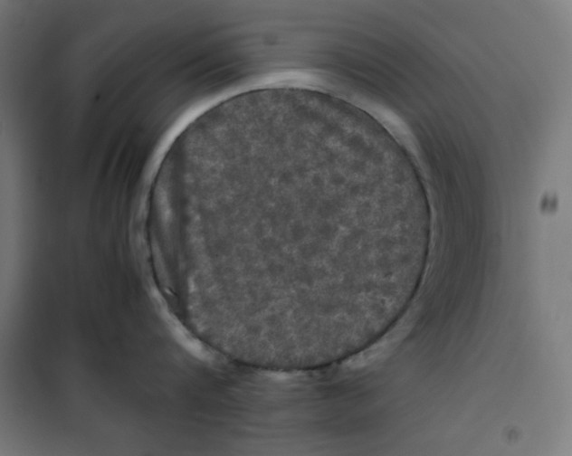 X0000100310816200807031145