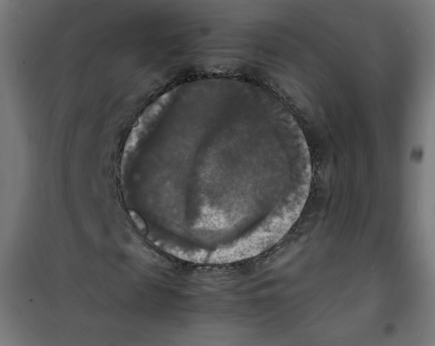 X0000100310817200807031144