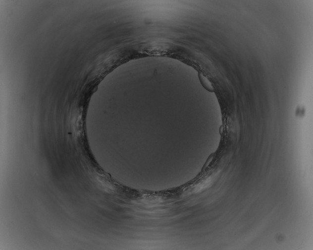 X0000100310818200807031144
