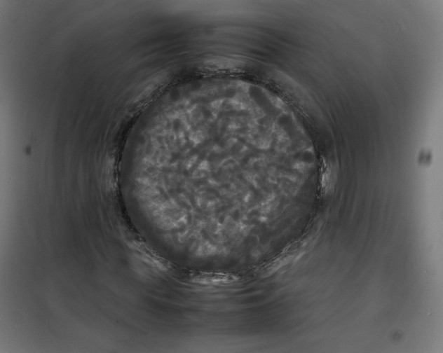 X0000100310819200807031144