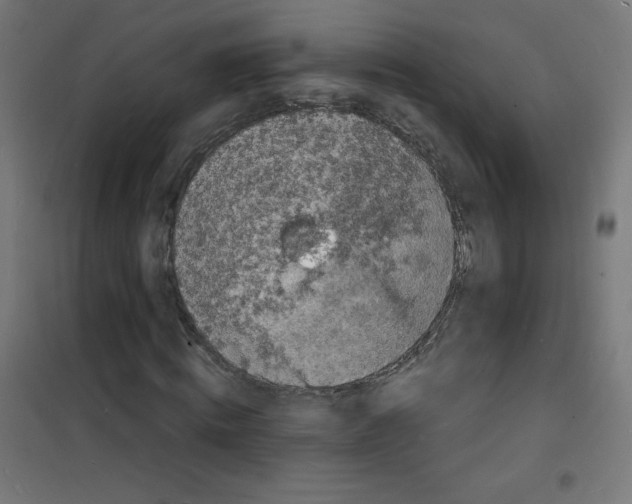 X0000100310820200807031144