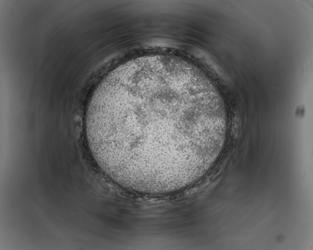 X0000100310821200807031144