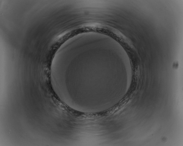 X0000100310822200807031144