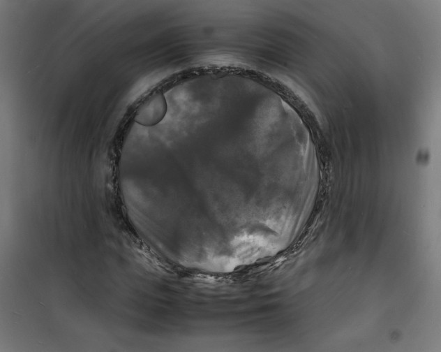 X0000100310823200807031144