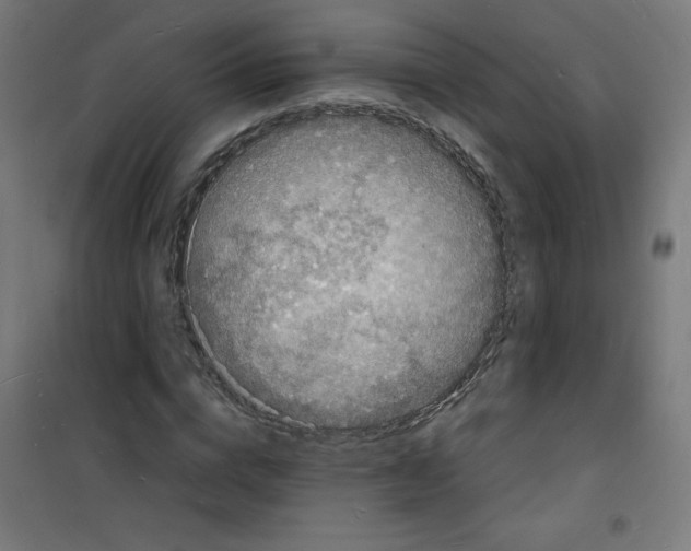 X0000100310824200807031144