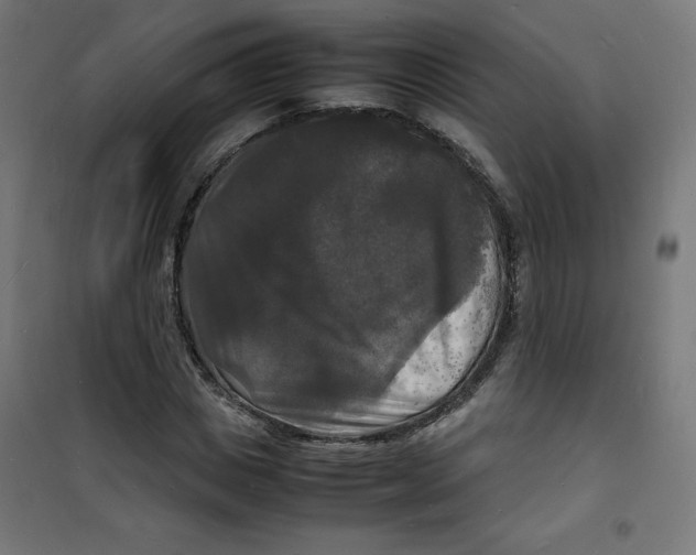 X0000100310825200807031144
