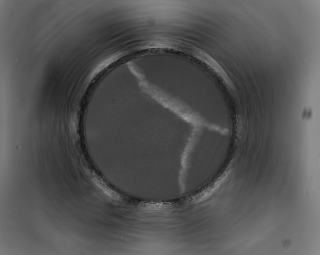 X0000100310826200807031144