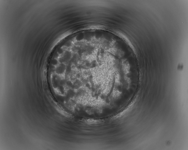 X0000100310827200807031144