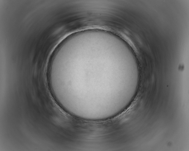 X0000100310828200807031144