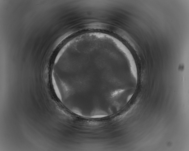 X0000100310829200807031144