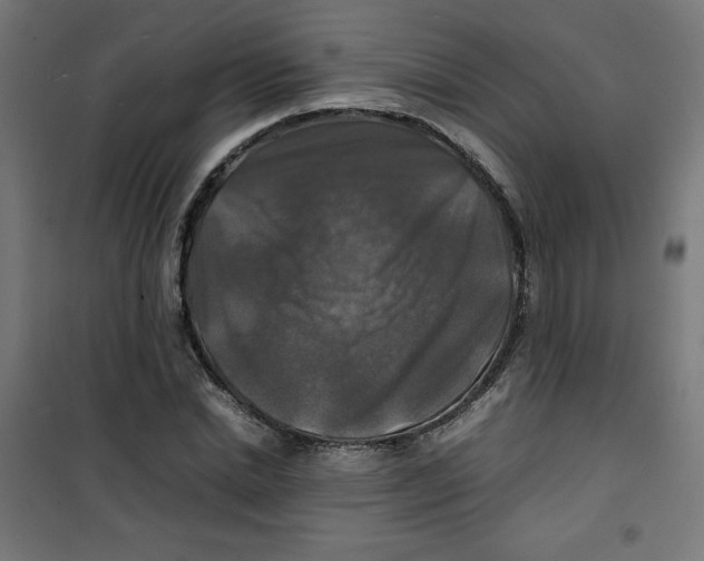 X0000100310830200807031144