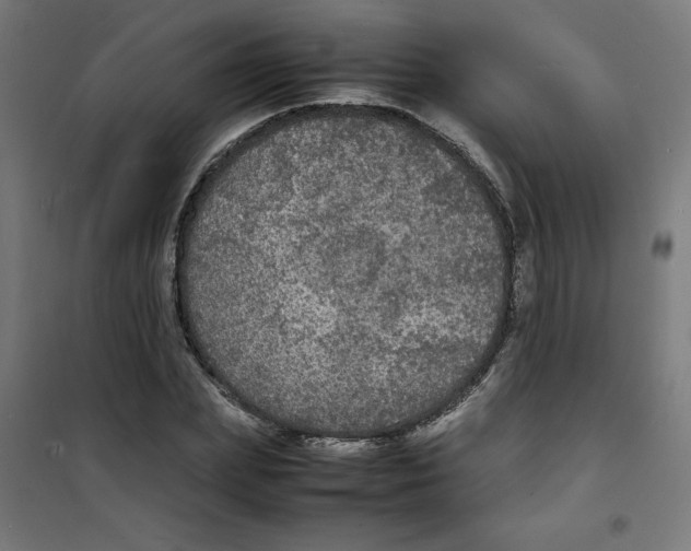 X0000100310831200807031144