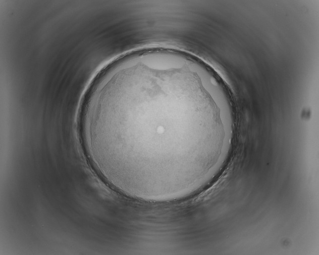 X0000100310832200807031144