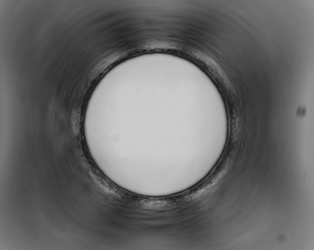 X0000100310833200807031144