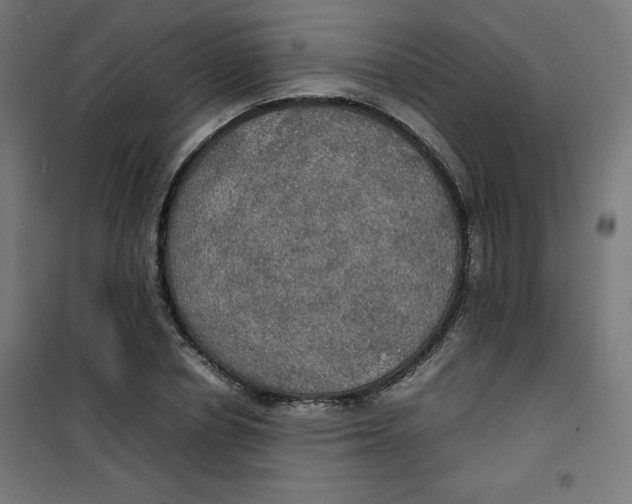 X0000100310834200807031144