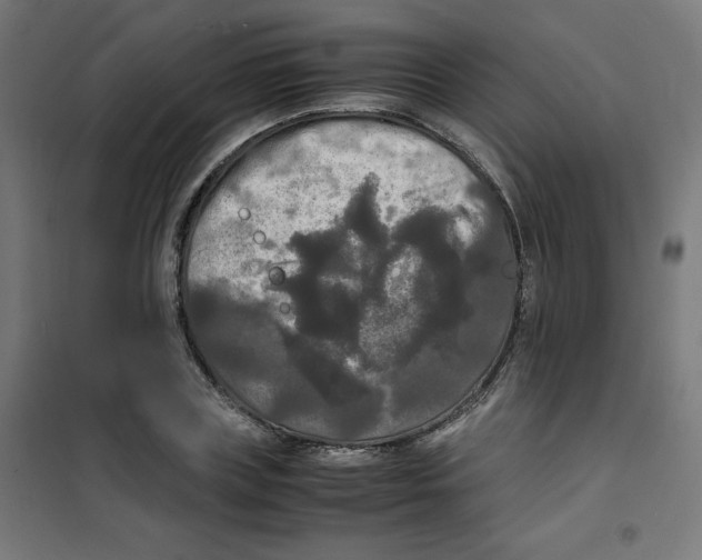 X0000100310835200807031144