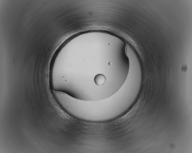 X0000100310836200807031144