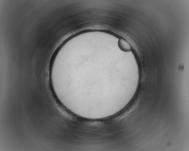 X0000100310837200807031144