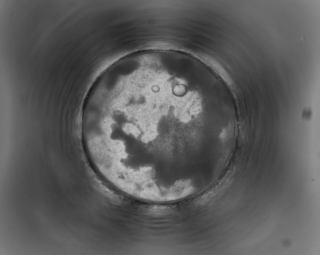 X0000100310839200807031144