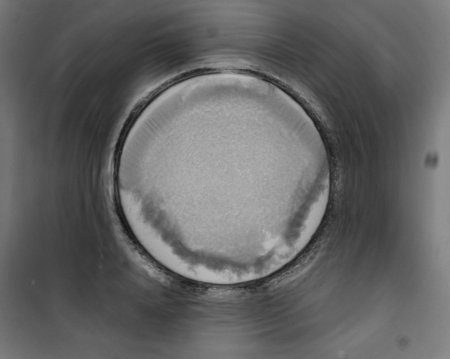 X0000100310840200807031144