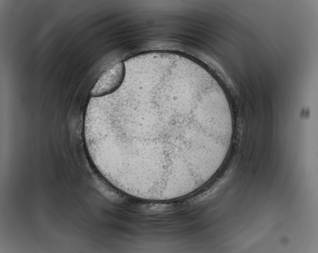 X0000100310841200807031144