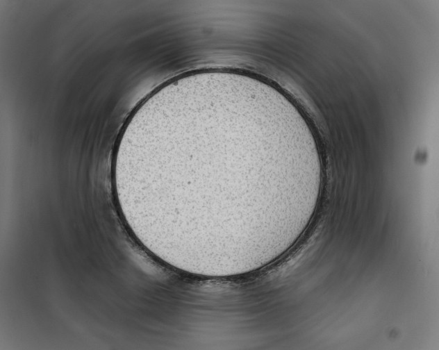 X0000100310842200807031145