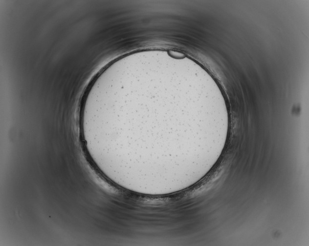 X0000100310843200807031145