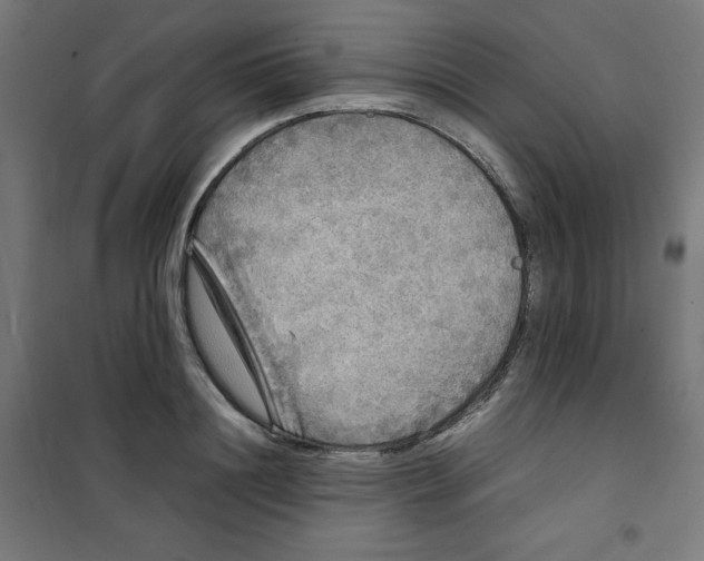 X0000100310844200807031145