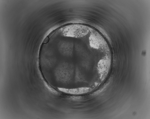 X0000100310845200807031145