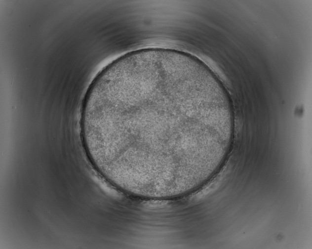 X0000100310846200807031145