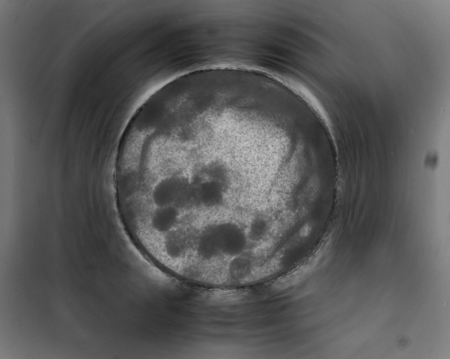 X0000100310847200807031145