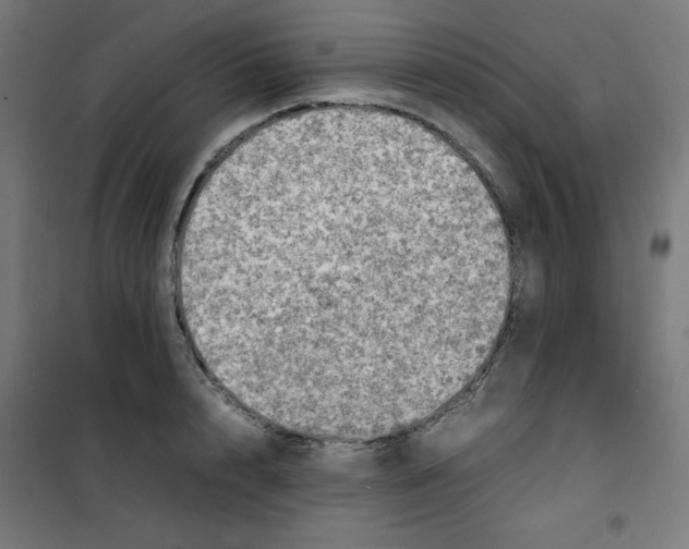 X0000100310848200807031145