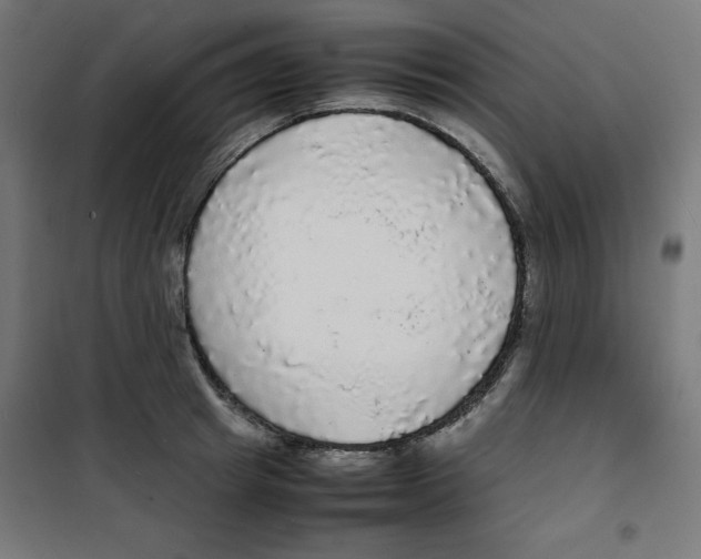 X0000100310849200807031145