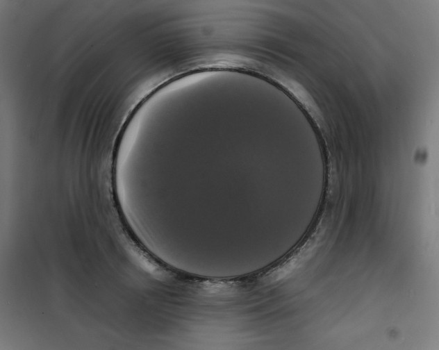 X0000100310850200807031145