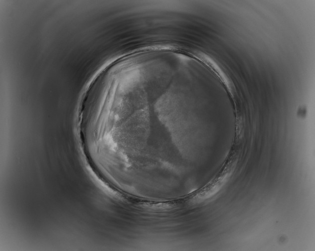 X0000100310851200807031145