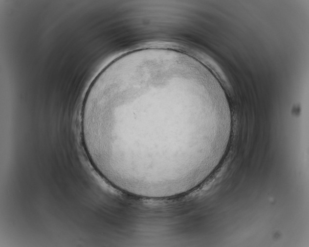 X0000100310852200807031145
