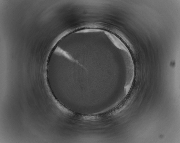 X0000100310853200807031145