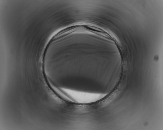 X0000100310854200807031145