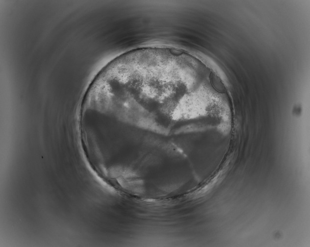 X0000100310855200807031145