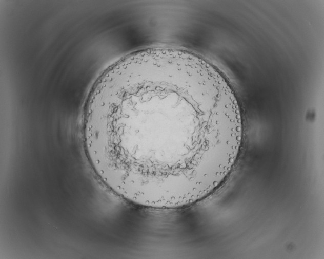 X0000100310856200807031145