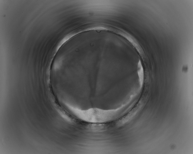X0000100310858200807031145