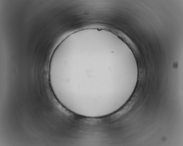 X0000100310860200807031145