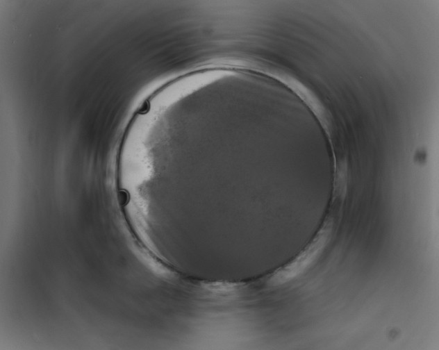X0000100310862200807031145