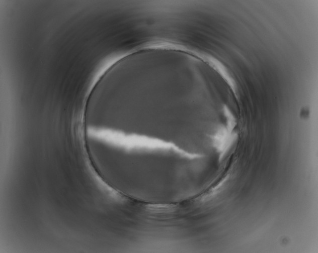 X0000100310863200807031145