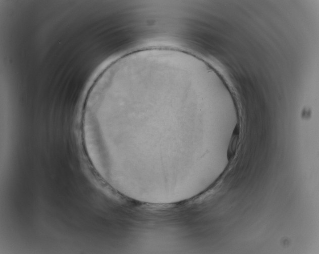X0000100310864200807031145