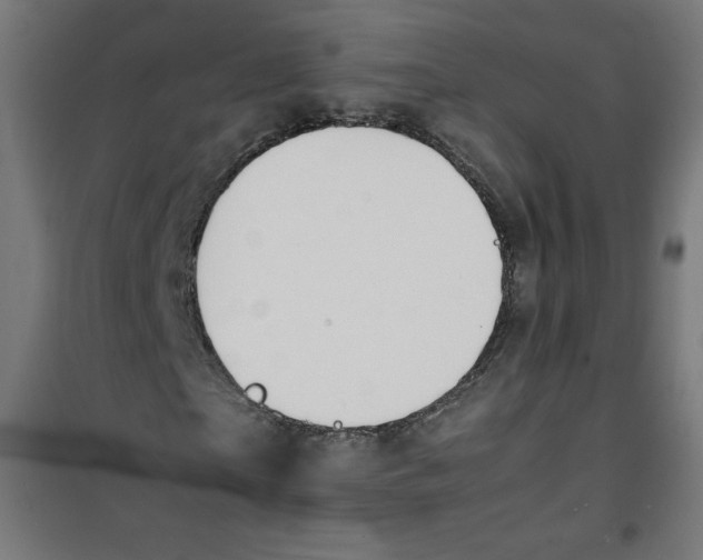 X0000100310865200807031144