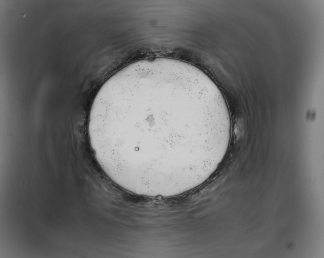 X0000100310867200807031144
