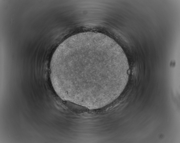 X0000100310868200807031144