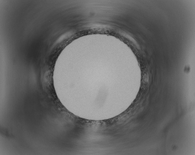 X0000100310869200807031144